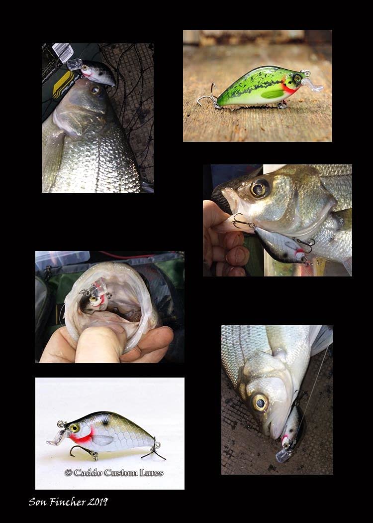 wLure 10 Blank Unpainted Crankbait Wide Wobble Slow Floating Fishing Lures with Free Eyes UPC503 - Image 5